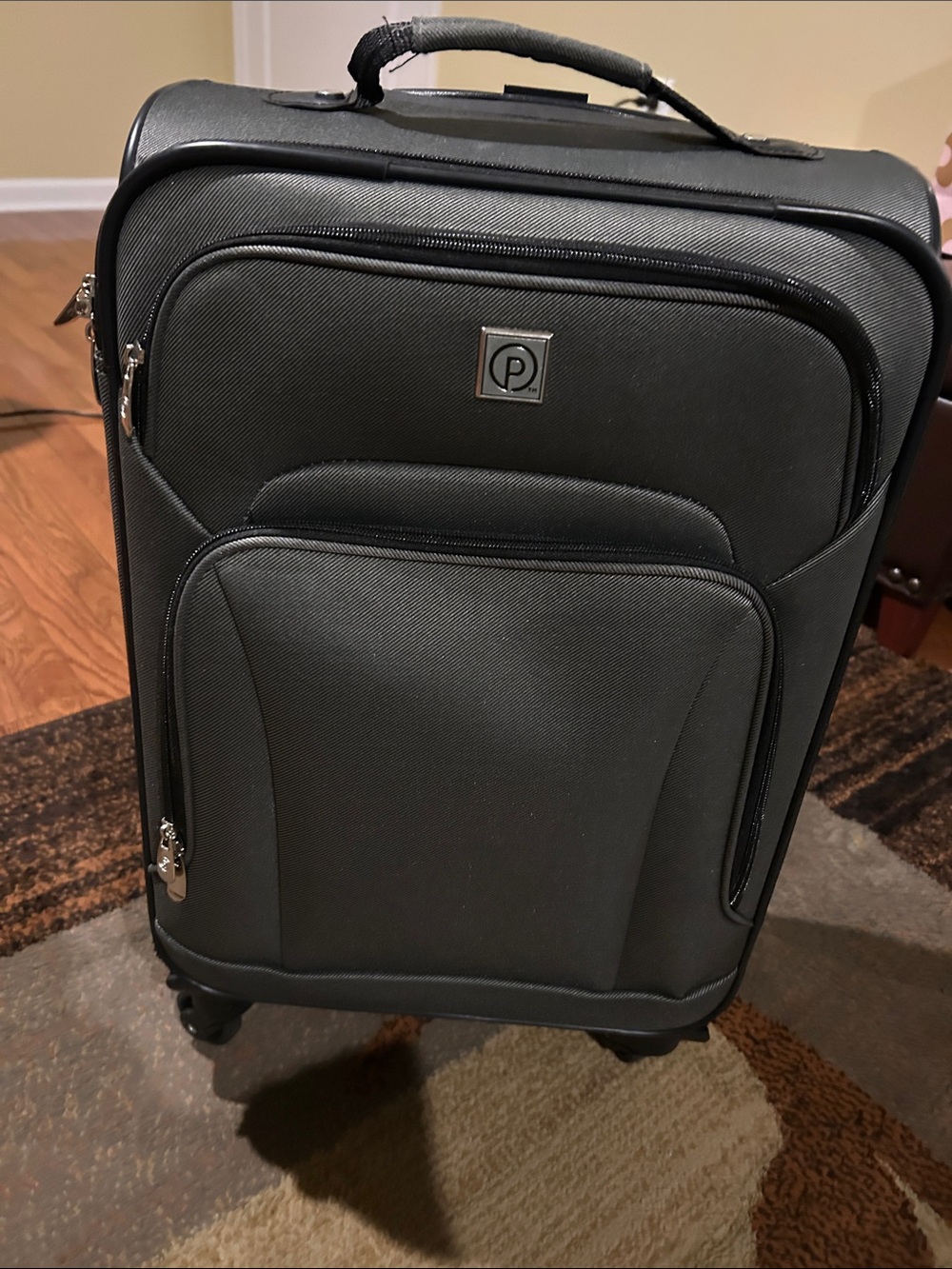 Protégé softside spinner carry-on luggage in grey